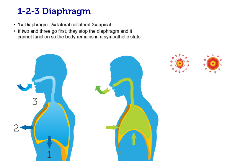 123Diaphragm